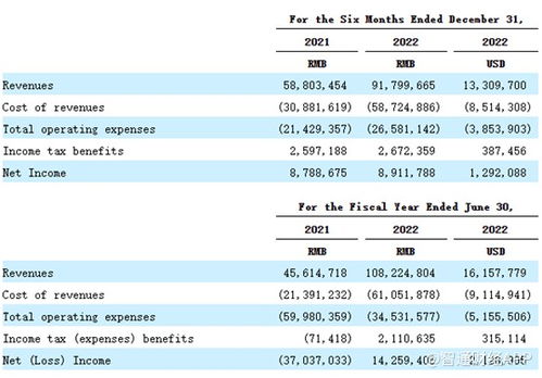 重銷售輕研發，致?？萍几懊繧PO成長性迎考，單一業務依賴風險凸顯